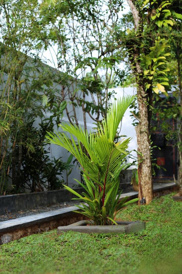 Triple Edge Villa อูนาวาตูนา ภายนอก รูปภาพ